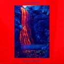 FUZZ MEADOWS - Orange Sunshine (red/blue splatter) LP