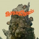 SYNANTHESIA - Synanthesia (black) LP