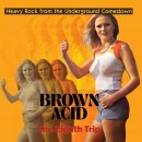 V/A - Brown Acid: The Eighth Trip (colour) LP