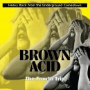 V/A - Brown Acid: The Fourth Trip (colour) LP