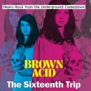 V/A - Brown Acid: The Sixteenth Trip (black) LP